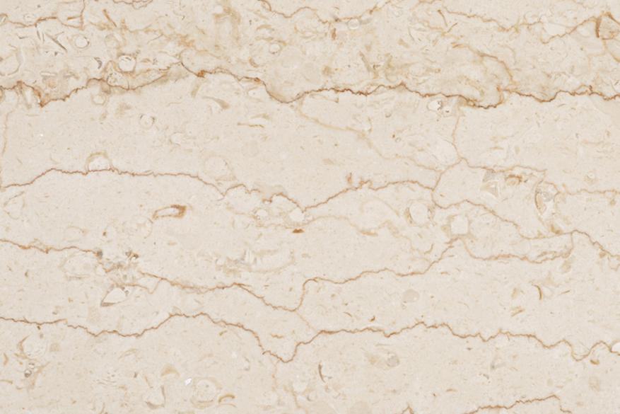 Shell Beige