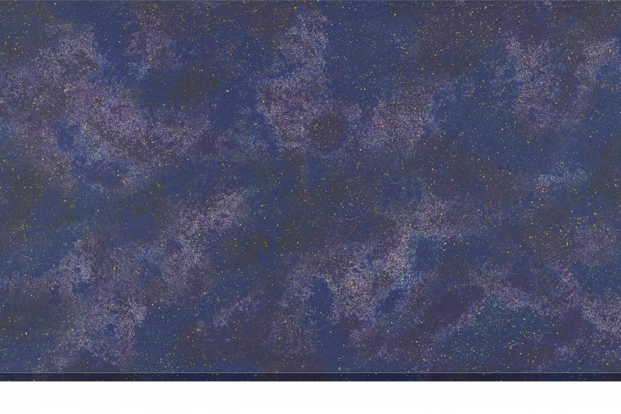 STARRY NIGHT STARRY NIGHT